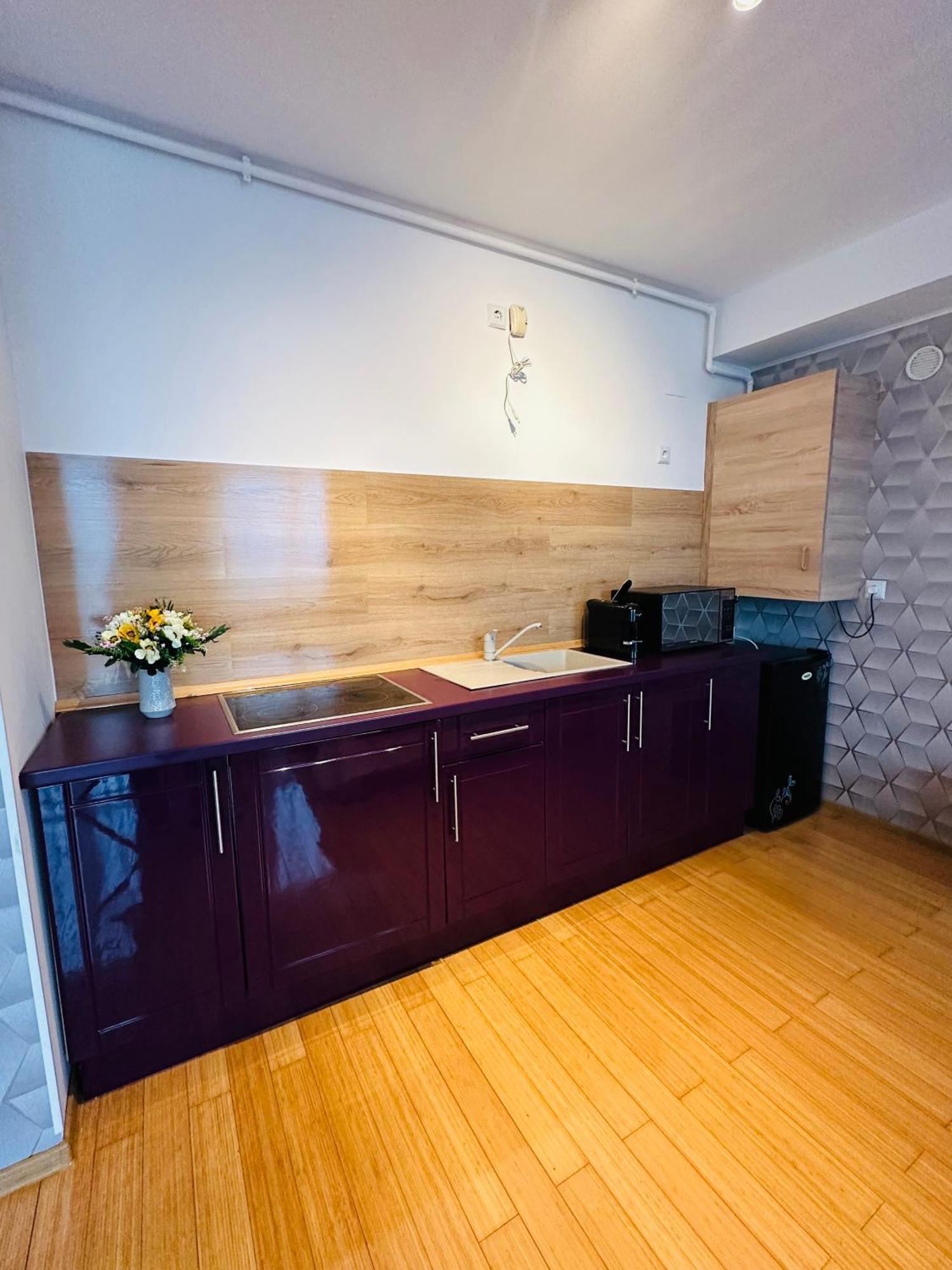 Lira Beach Studio Mamaia Dış mekan fotoğraf
